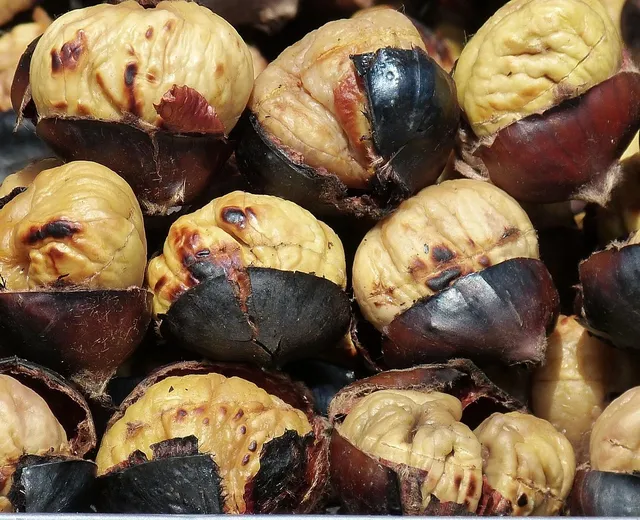 Fesa di Tacchino Arrosto Affettato