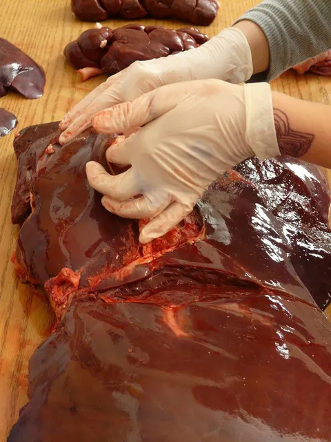 Gulash di Manzo