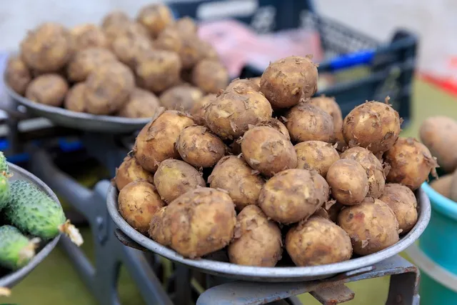 Chicche di Patate
