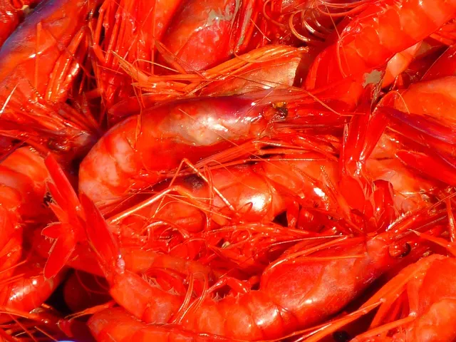 Sugo di pesce con scampi