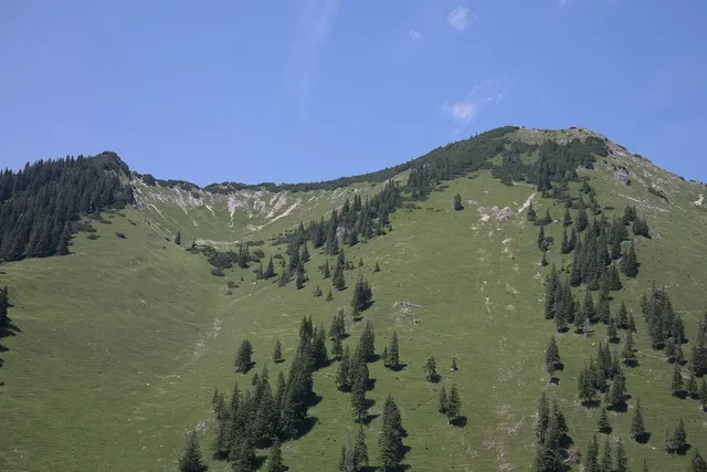 Fiammiferi di Speck delle Alpi