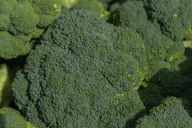 Broccoletti