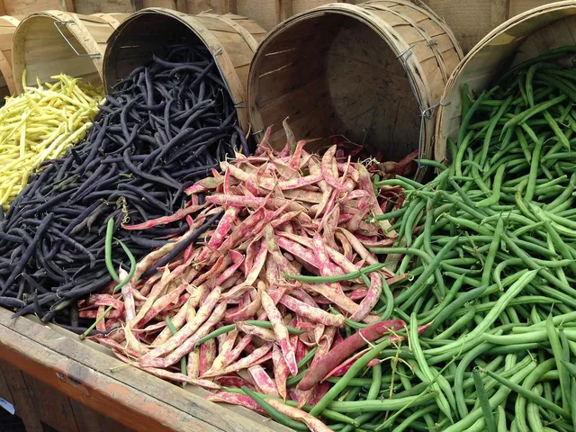 Zuppa di legumi