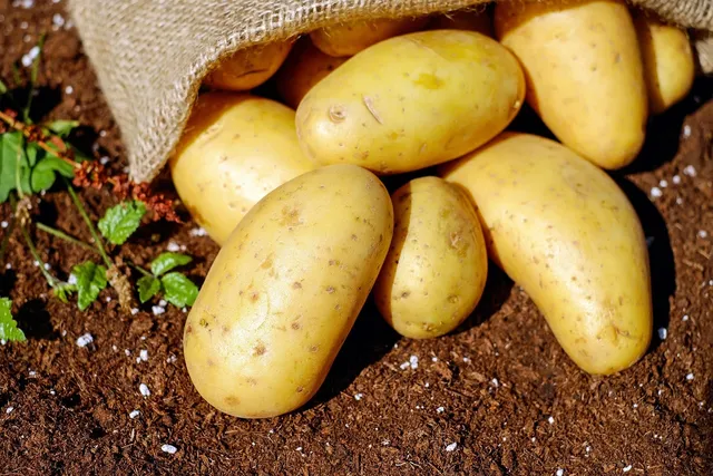 Gnocchi di Patate